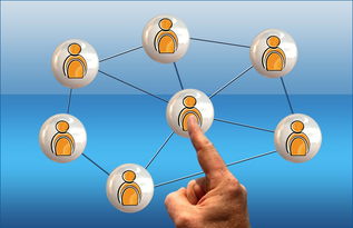 半岛体育官网入口下载-河床防守体系稳固，力求半决赛再创佳绩