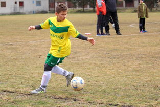 半岛体育官网首页-沙尔克将迎战法兰克福，战况激烈不容错过，沙尔克04对弗赖堡